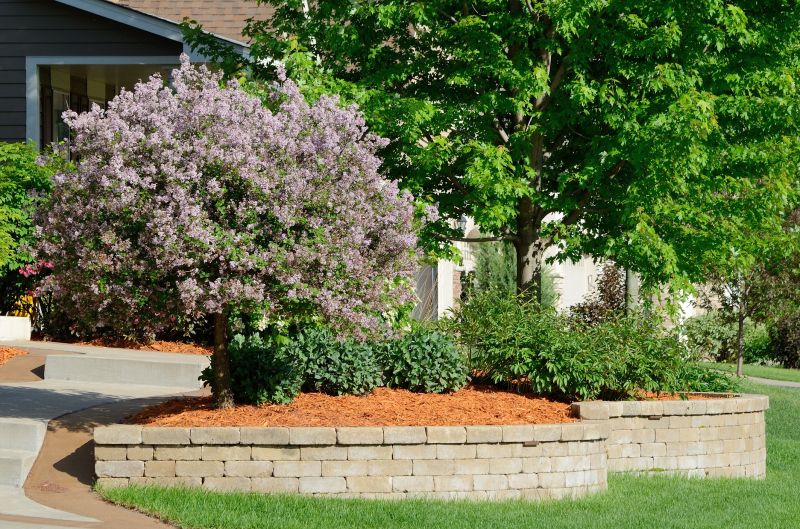 Landscape Wall Construction in Santa Rosa, CA